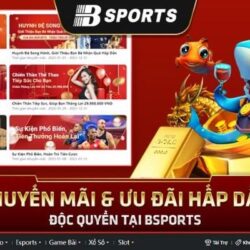 Bsports - sân chơi cá cược thể thao uy tín và chất lượng Bsports-voi-khuyen-mai-uu-dai-hap-dan-
