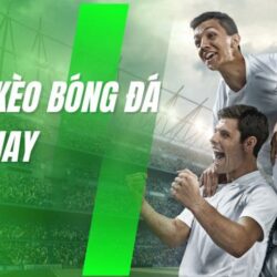 cap-nhat-bang-xep-hang-moi-nhat-tai-ty-le-keo-nha-cai
