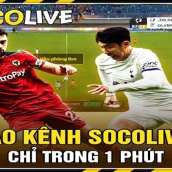 xem-bong-da-socolive-sieu-hap-dan