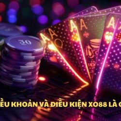 dieu-kien-va-dieu-khoan-xo88-1