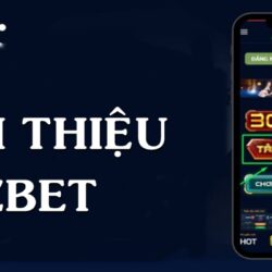 gioi-thieu-zbet-1