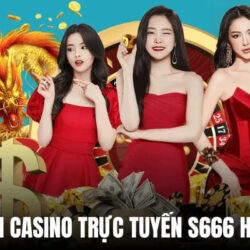s666 1