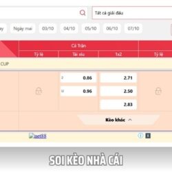 Soi Kèo Nhà Cái Chuẩn Xác Cùng Chuyên Gia Cá Cược Tại VB88 image